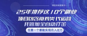 25年推荐这10个副业项目包含褂鸡类、代运营托管类、全自动打金类【揭秘】-星河轻创