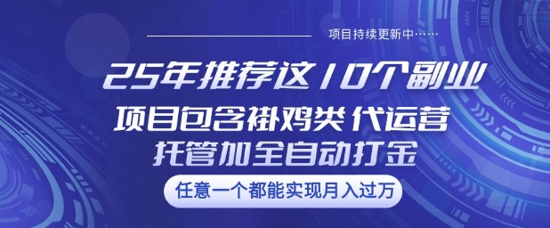 25年推荐这10个副业项目包含褂鸡类、代运营托管类、全自动打金类【揭秘】-星河轻创