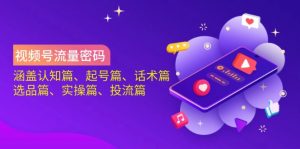 视频号流量密码：涵盖认知篇、起号篇、话术篇、选品篇、实操篇、投流篇-星河轻创