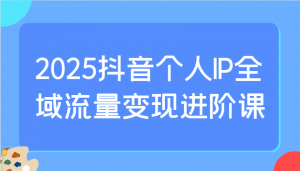 2025抖音个人IP全域流量变现进阶课：选爆品、抖音付费投流、千川投流实操及优化等-星河轻创