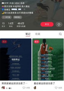 小红书治愈文案图文笔记，零门槛，一分钟制作轻松制作爆款作品月入万元-星河轻创