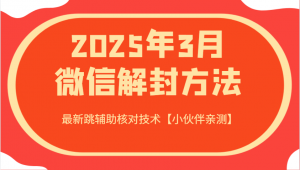 2025年3月微信解封方法 最新跳辅助核对技术【小伙伴亲测】-星河轻创