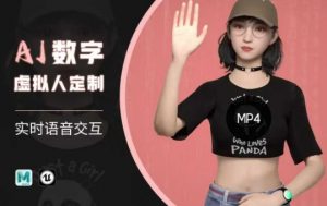 Ai数字人虚拟(智能体)实时语音交互特训营，​自行定制超写实角色AI数字人交互技术-星河轻创