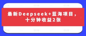 最新Deepseek+蓝海项目，十分钟收益2张-星河轻创