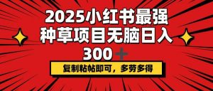 2025小红书最强种草项目，无脑日入300+，复制粘帖即可，多劳多得-星河轻创