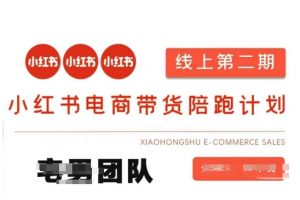 小红书电商带货课2期，月利润20个的小红书电商的有货源，无货源，虚拟产品，付费投流等整套玩法-星河轻创