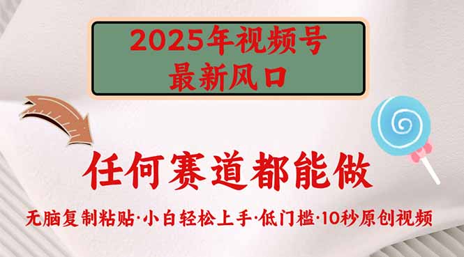 2025年视频号新风口，低门槛只需要无脑执行-星河轻创