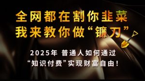 全网都在割你韭菜，我来教你做镰刀,2025普通人如何通过知识付费，实现财F自由【揭秘】-星河轻创