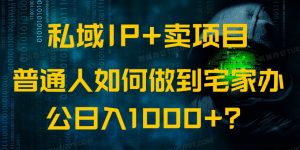 私域IP+卖项目，普通人如何做到宅家办公实现日入1000+-星河轻创