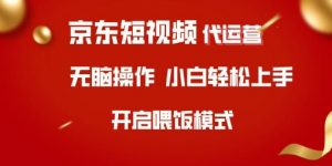 京东短视频代运营，全程喂饭，小白轻松上手【揭秘】-星河轻创