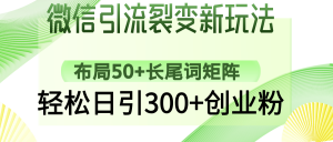 微信引流裂变新玩法：布局50+长尾词矩阵，轻松日引300+创业粉-星河轻创