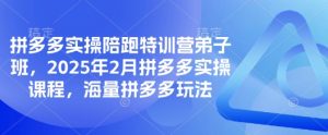 拼多多实操陪跑特训营弟子班，2025年2月拼多多实操课程，海量拼多多玩法-星河轻创