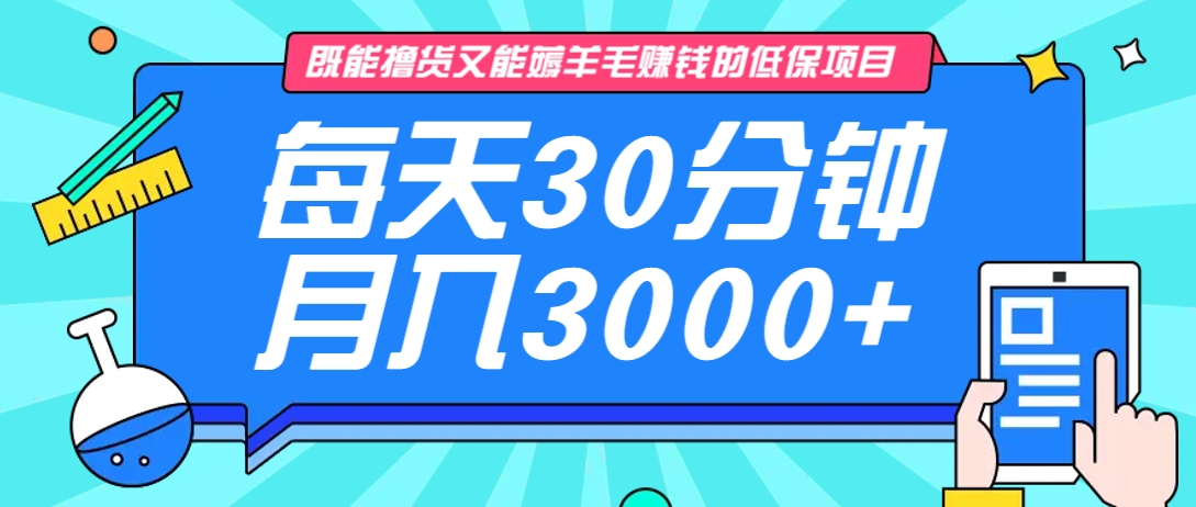 既能撸货又能赚钱的长期低保项目，每天30分钟，多号百分百稳定月入3000+！-星河轻创