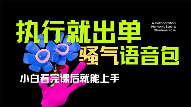 爆火全网的开车导航骚气语音包,只要执行就出单,小白看完课程就能实操…-星河轻创