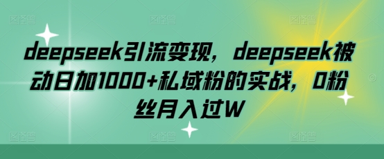 deepseek引流变现，deepseek被动日加1000+私域粉的实战，0粉丝月入过W-星河轻创