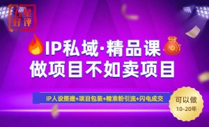 2025年“IP私域·密训精品课”，日赚3000+小白避坑年赚百万，暴力引流...-星河轻创