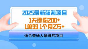 2025蓝海项目 1天涨粉200+ 1单99 1个月2万+-星河轻创