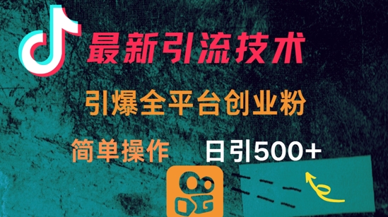 最新引流方法,引爆全平台的一个创业粉,简单操作日引300+-星河轻创