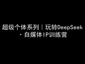 超级个体系列，玩转DeepSeek·自媒体IP训练营，deepseek教程-星河轻创