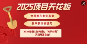 2025项目天花板普通人如何通过知识付费，实现财F自由【揭秘】-星河轻创