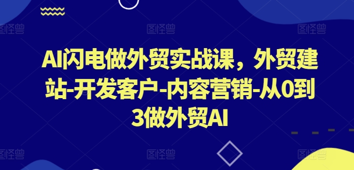 AI闪电做外贸实战课，​外贸建站-开发客户-内容营销-从0到3做外贸AI(更新)-星河轻创