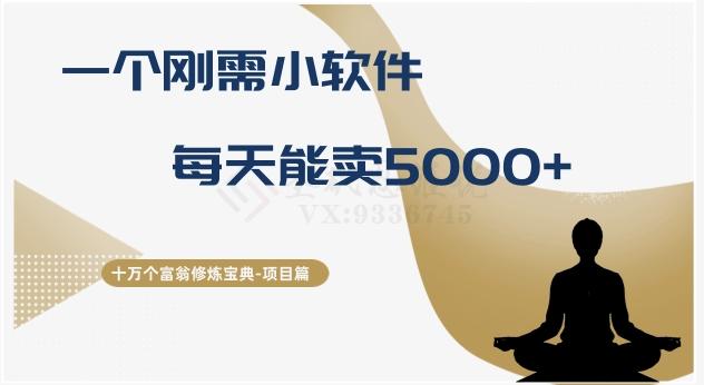 十万个富翁修炼宝典之17.一个刚需小软件，每天能卖5000+-星河轻创