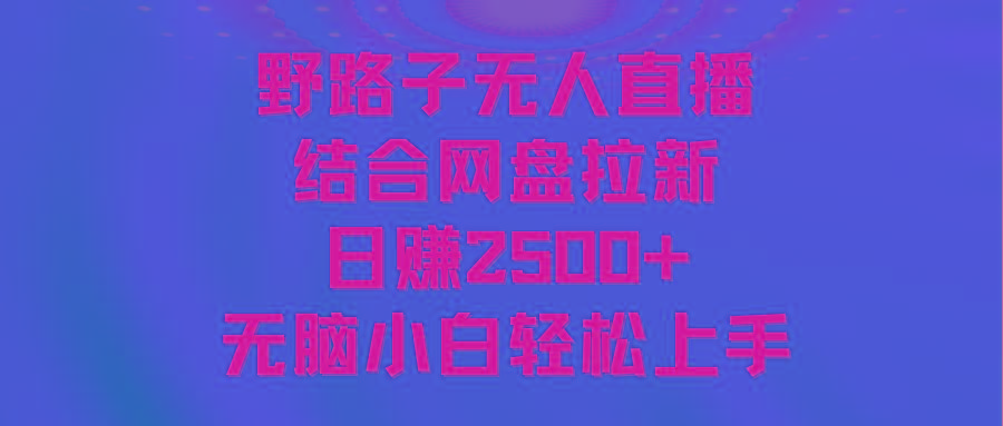 无人直播野路子结合网盘拉新，日赚2500+多平台变现，小白无脑轻松上手操作-星河轻创