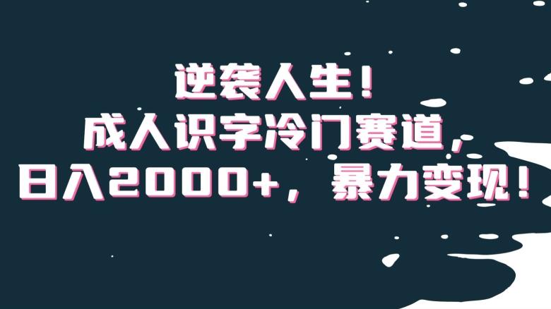逆袭人生！成人识字冷门赛道，日入2000+，暴力变现！【揭秘】-星河轻创