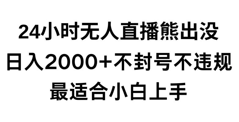 快手24小时无人直播熊出没，不封直播间，不违规，日入2000+，最适合小白上手，保姆式教学【揭秘】-星河轻创