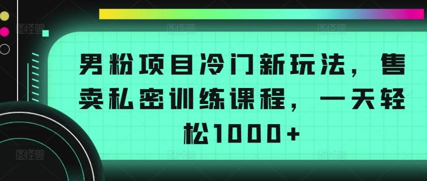 男粉项目冷门新玩法，售卖私密训练课程，一天轻松1000+【揭秘】-星河轻创