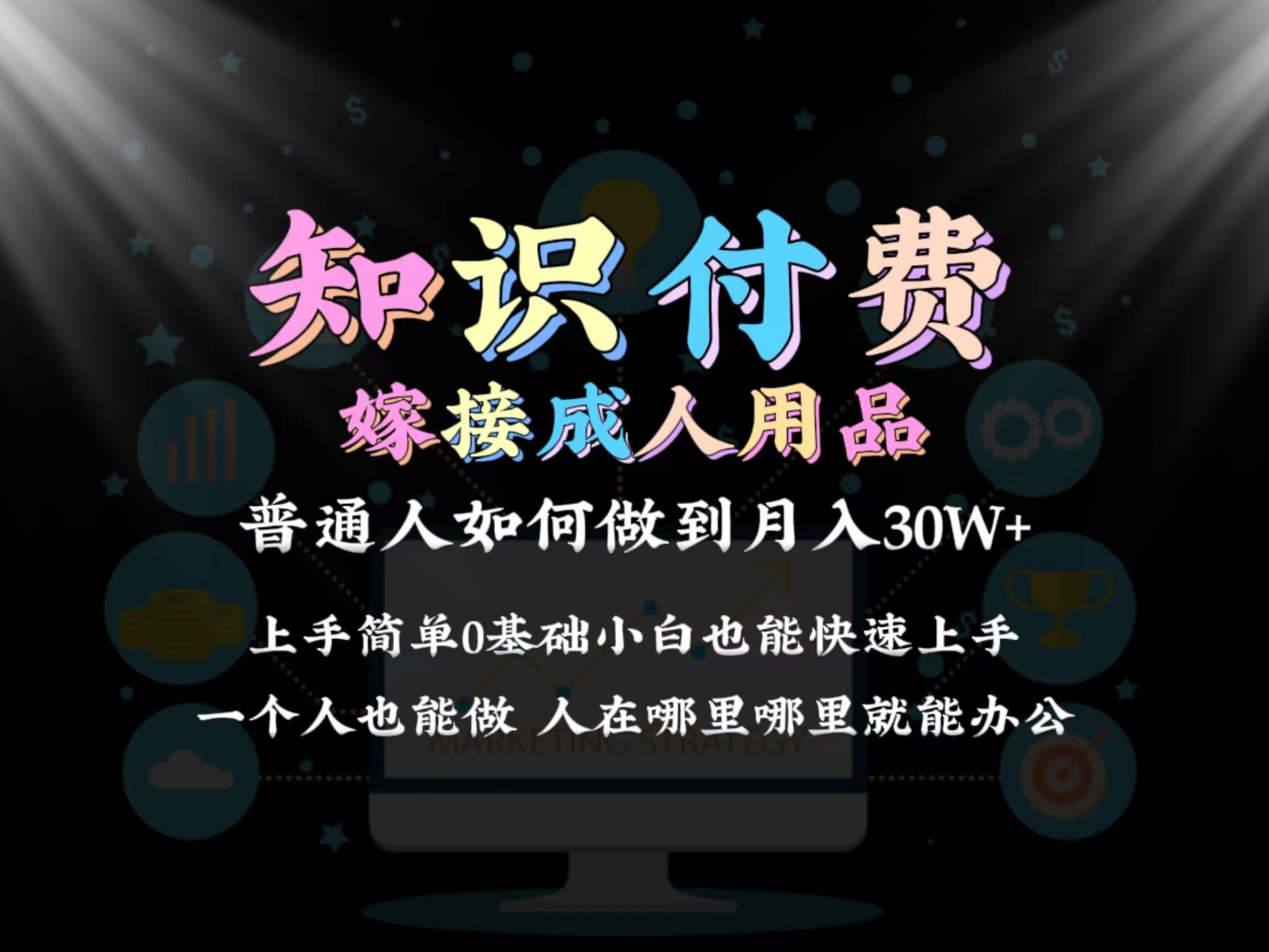 2024普通人做知识付费结合成人用品如何实现单月变现30w 保姆教学1.0-星河轻创