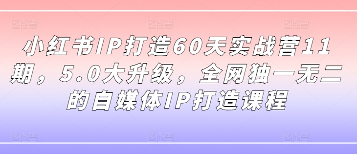 小红书IP打造60天实战营11期，5.0大升级，全网独一无二的自媒体IP打造课程-星河轻创