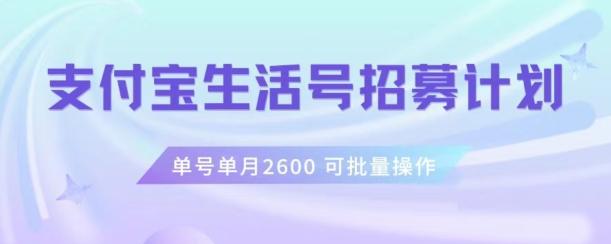 支付宝生活号作者招募计划，单号单月2600，可批量去做，工作室一人一个月轻松1w+【揭秘】-星河轻创