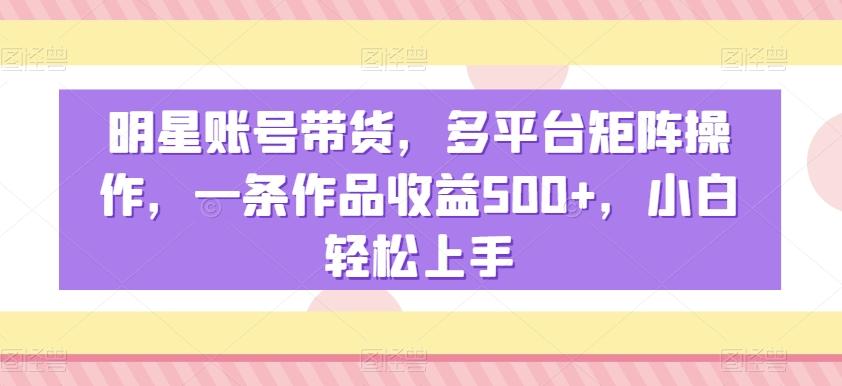 明星账号带货，多平台矩阵操作，一条作品收益500+，小白轻松上手【揭秘】-星河轻创