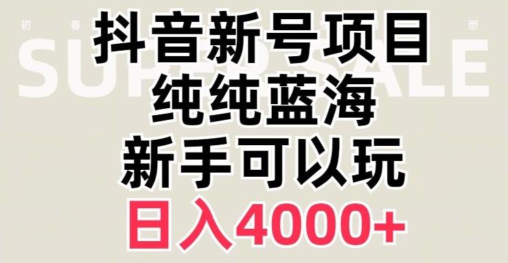 抖音蓝海赛道，必须是新账号，日入4000+【揭秘】-星河轻创