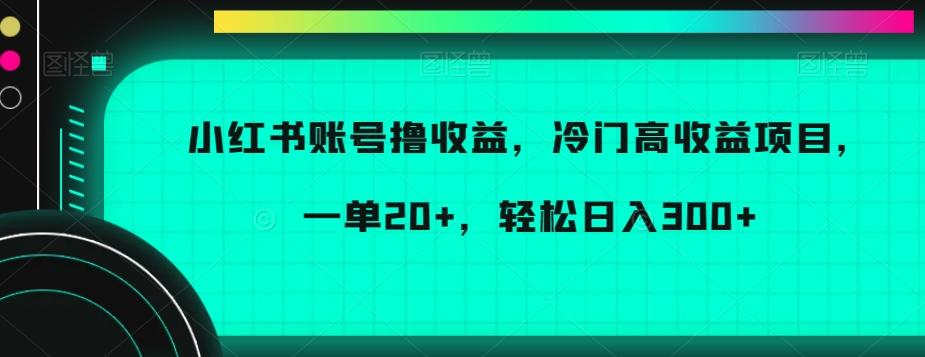 小红书账号撸收益，冷门高收益项目，一单20+，轻松日入300+【揭秘】-星河轻创