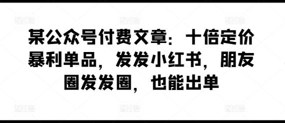 某公众号付费文章：十倍定价暴利单品，发发小红书，朋友圈发发圈，也能出单-星河轻创