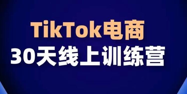 TikTok电商带货30天线上课，不可错过的全球流量洼地！-星河轻创
