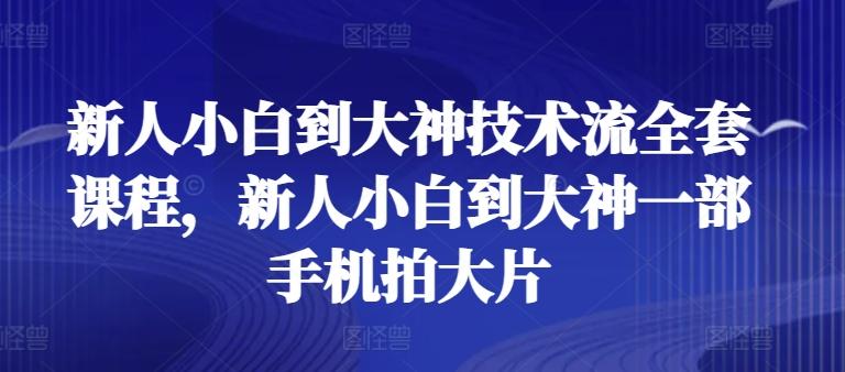 新人小白到大神技术流全套课程，新人小白到大神一部手机拍大片-星河轻创