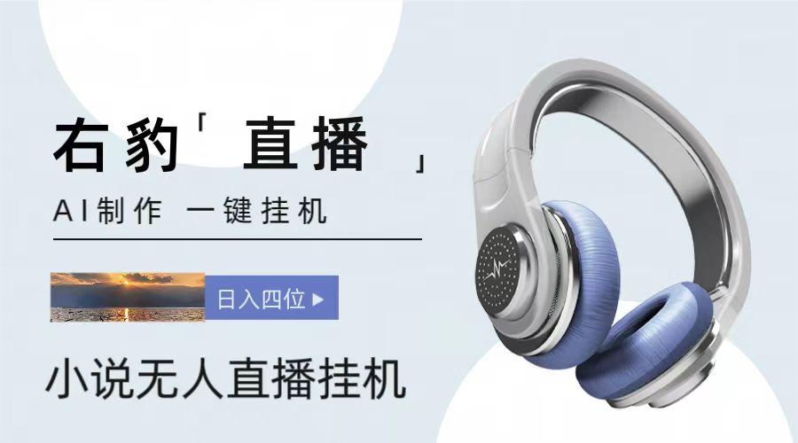 右豹小说无人直播挂机吸金项目，简单易行收益稳定， 月入1000+-星河轻创