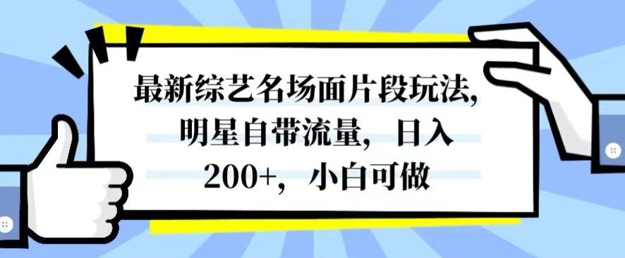 最新综艺名场面片段玩法，明星自带流量，日入200+，小白可做【揭秘】-星河轻创