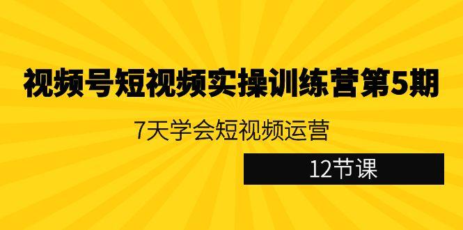 视频号短视频实操训练营第5期：7天学会短视频运营(12节课)-星河轻创