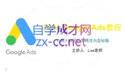 谷歌大叔·2024Google Ads教程-星河轻创