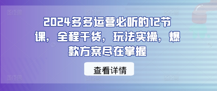 2024多多运营必听的12节课，全程干货，玩法实操，爆款方案尽在掌握-星河轻创