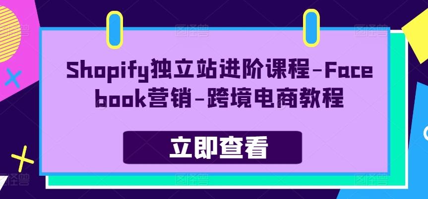 Shopify独立站进阶课程-Facebook营销-跨境电商教程-星河轻创