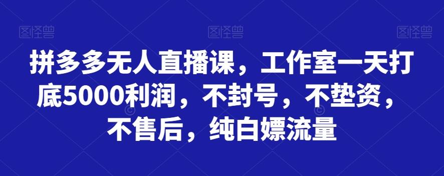 拼多多无人直播课，工作室一天打底5000利润，不封号，不垫资，不售后，纯白嫖流量-星河轻创