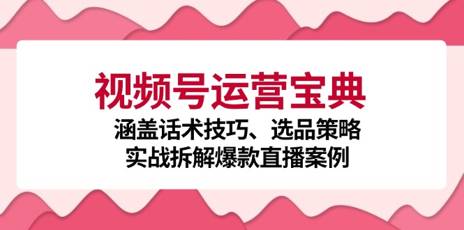 视频号运营宝典：涵盖话术技巧、选品策略、实战拆解爆款直播案例-星河轻创