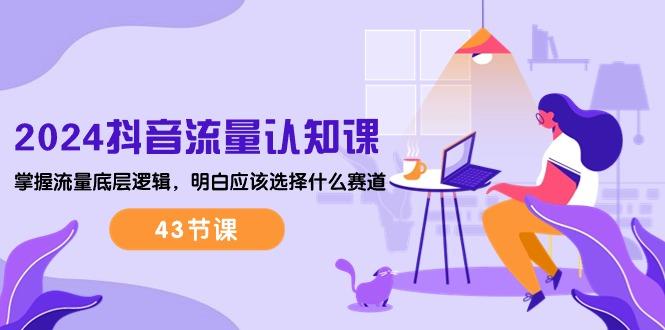 2024抖音流量·认知课：掌握流量底层逻辑，明白应该选择什么赛道 (43节课-星河轻创