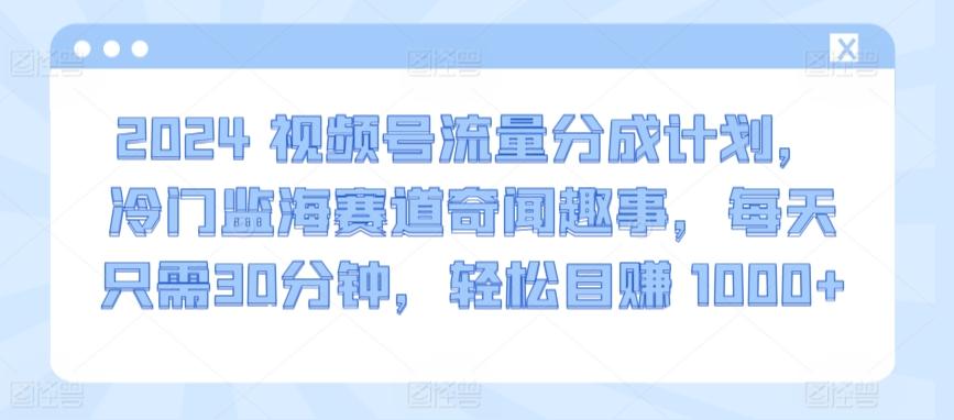 2024视频号流量分成计划，冷门监海赛道奇闻趣事，每天只需30分钟，轻松目赚 1000+【揭秘】-星河轻创