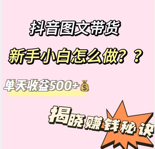 抖音图文带货，新手小白怎么做？单天收益500+【揭秘赚钱秘诀】-星河轻创